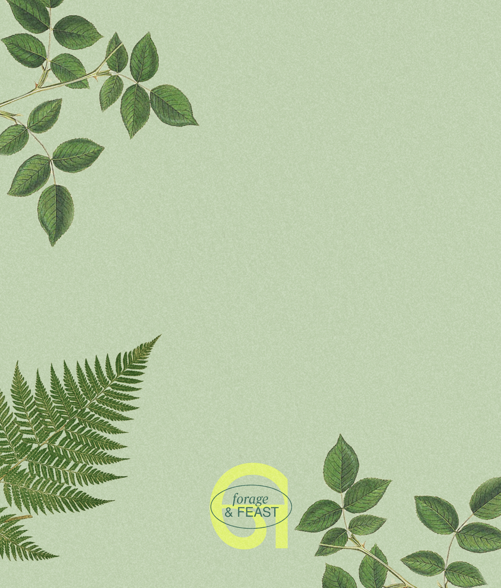A sage green poster of pressed botanical prints, leaves and a fern around the edges and a
      bird perched at the foot, reading ‘Among the trees we gather’ above the Gather logomark