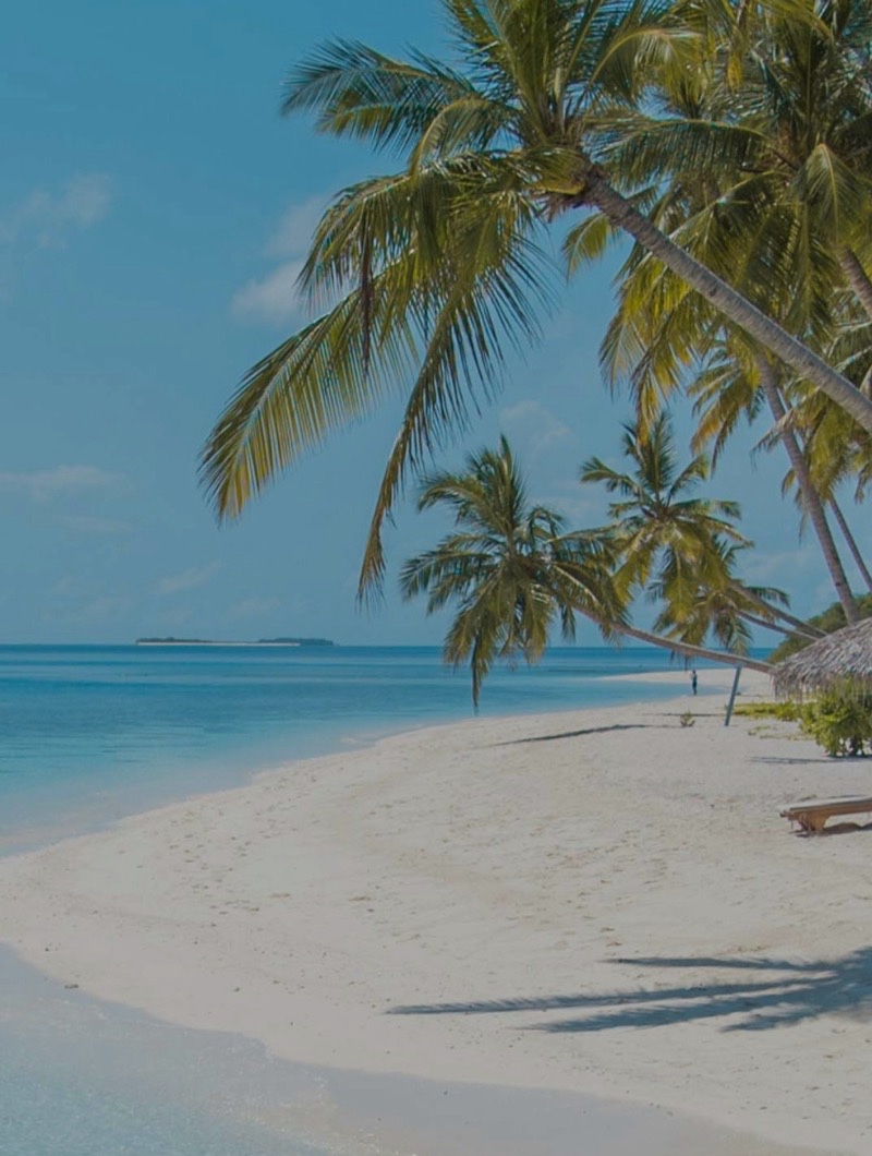 Palm trees leaning over a white sand beach and a turquoise lagoon