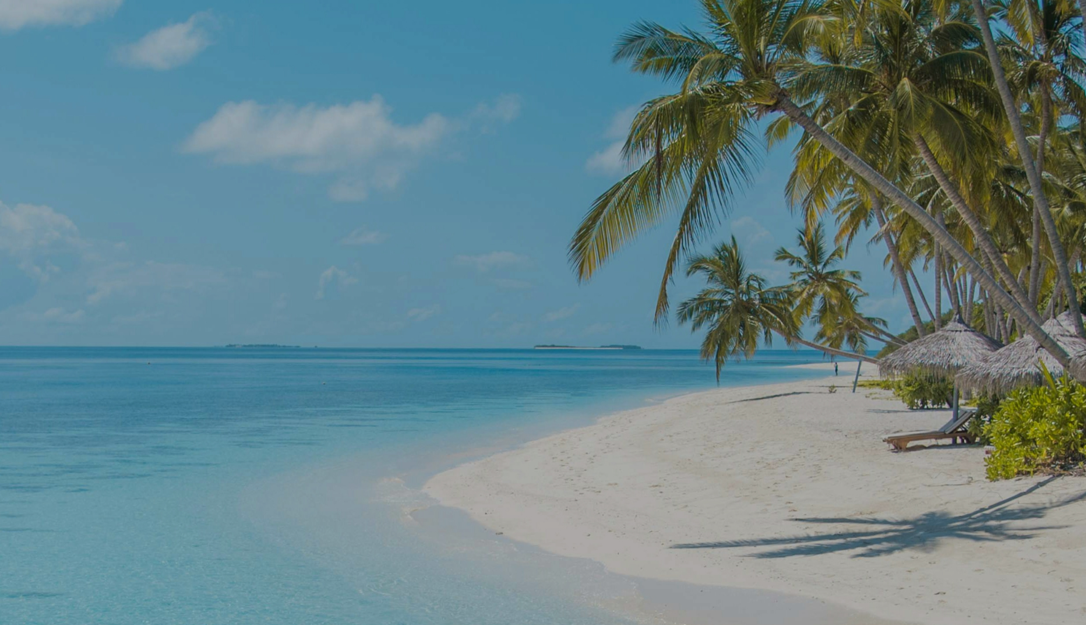 Palm trees leaning over a white sand beach and a turquoise lagoon