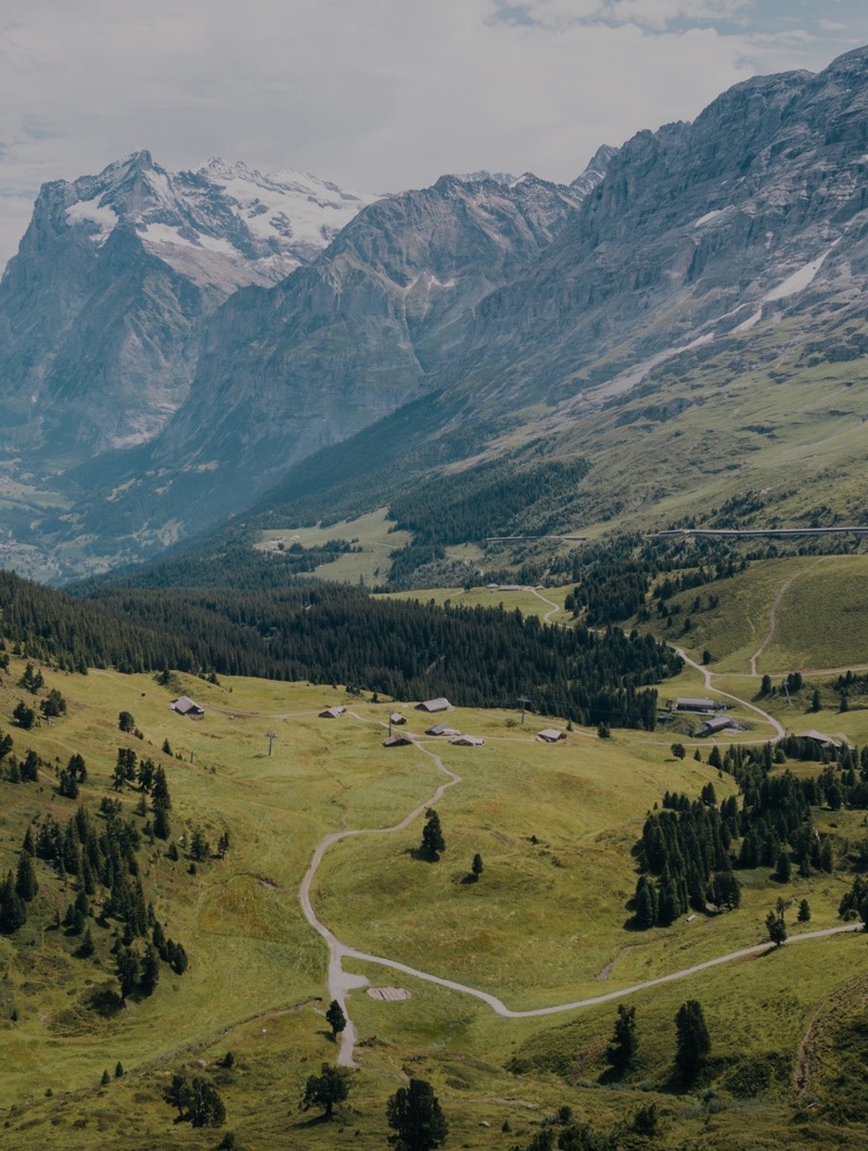 A green alpine valley of meadow and pine below bare mountains