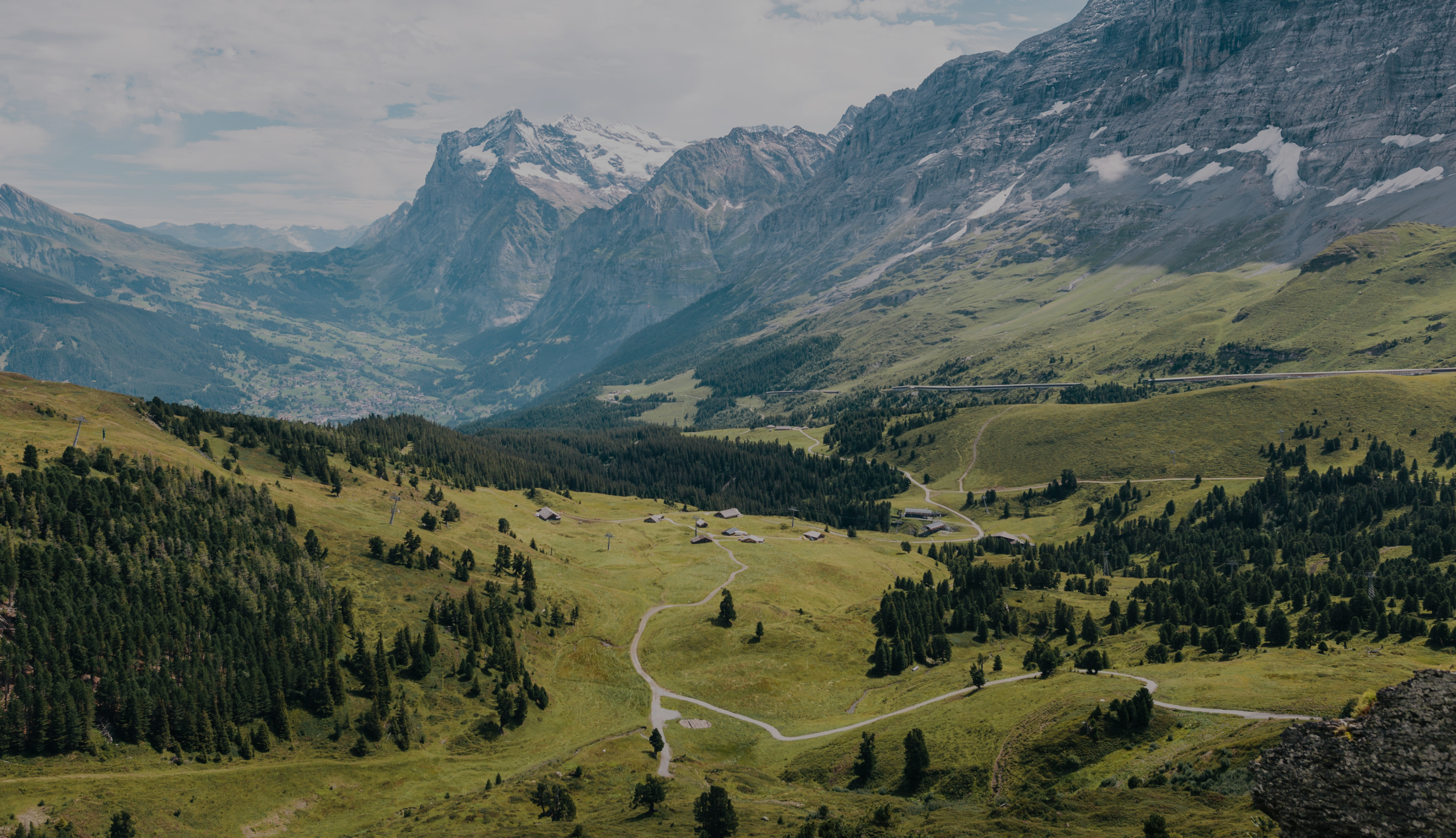 A green alpine valley of meadow and pine below bare mountains
